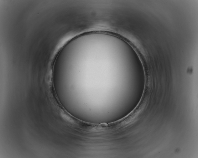 X0000100751366200807031326