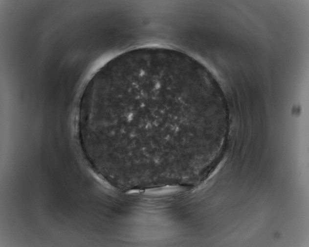 X0000100751367200807031326