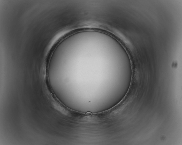 X0000100751368200807031326