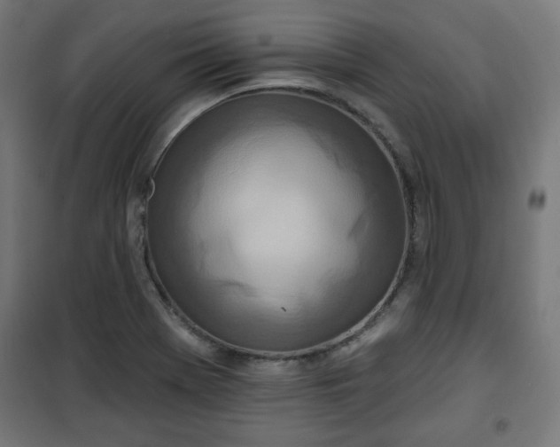 X0000100751369200807031326