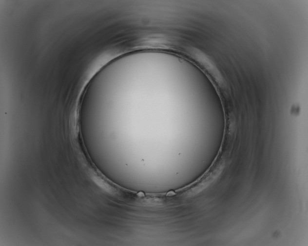 X0000100751370200807031326