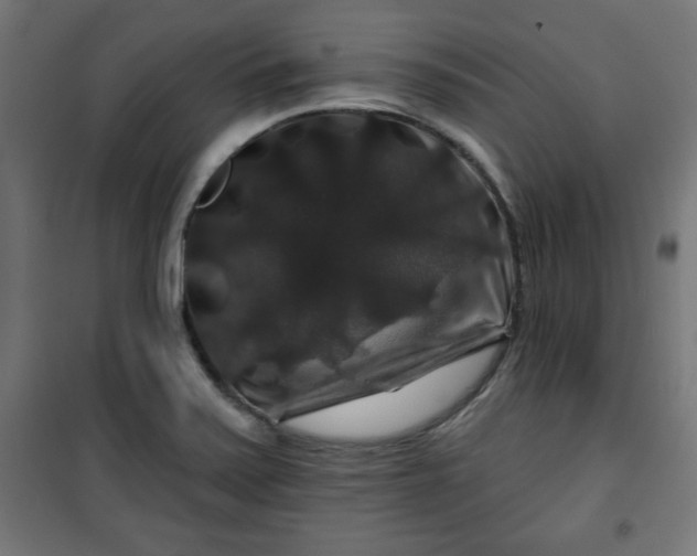 X0000100751371200807031326