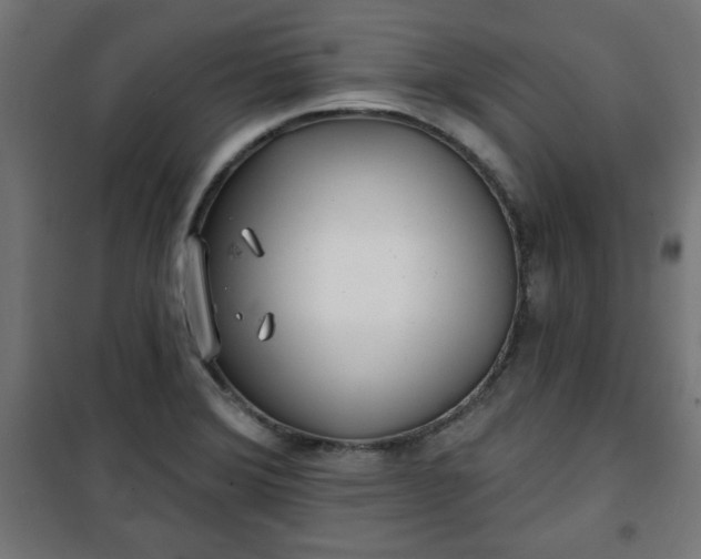 X0000100751372200807031326