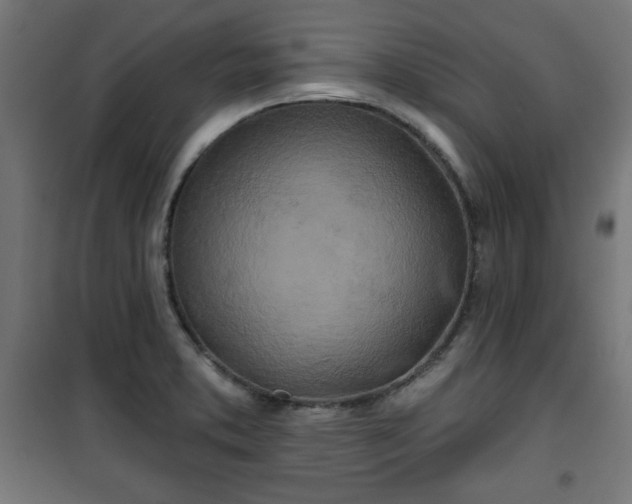 X0000100751373200807031326