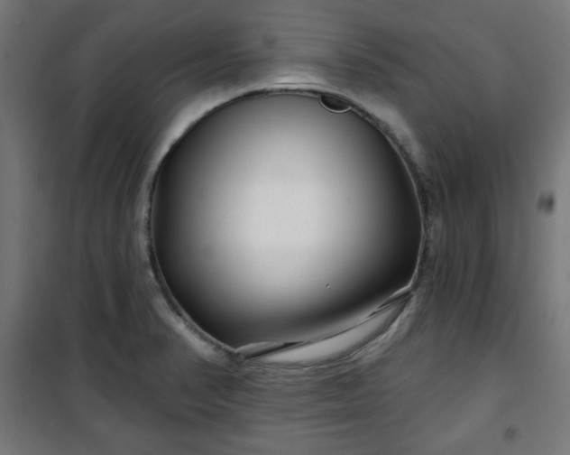 X0000100751374200807031326