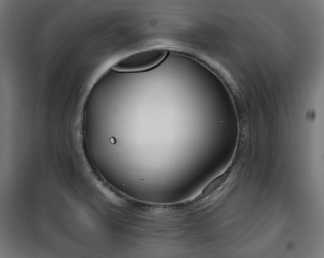 X0000100751375200807031326