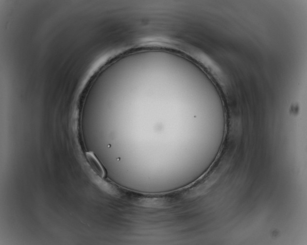 X0000100751376200807031326