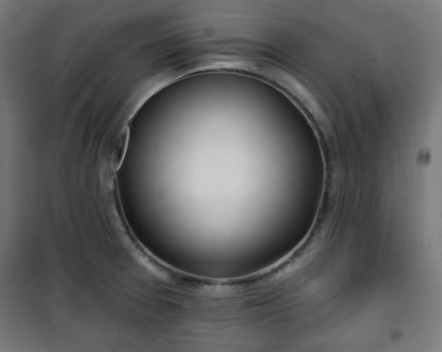 X0000100751377200807031326