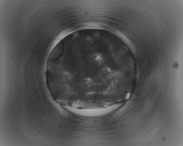 X0000100751378200807031326