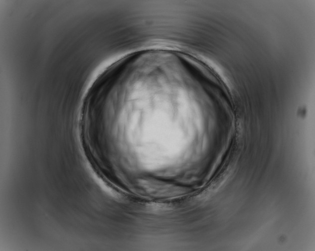 X0000100751379200807031326