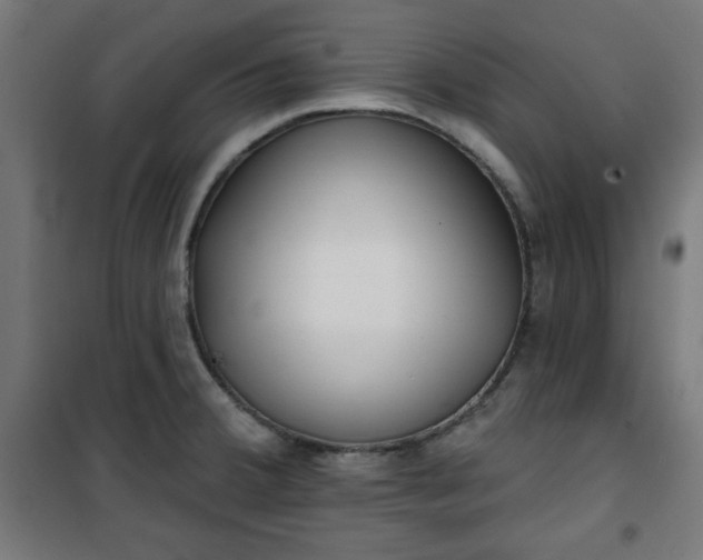 X0000100751380200807031326