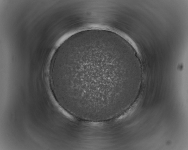 X0000100751381200807031326