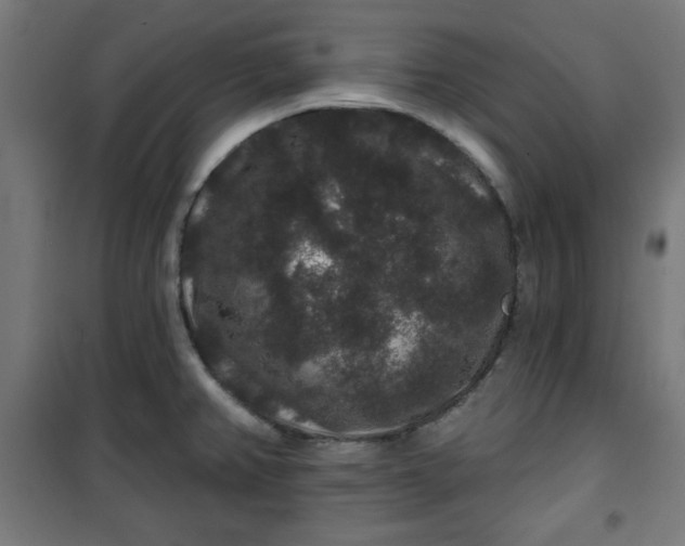 X0000100751382200807031326