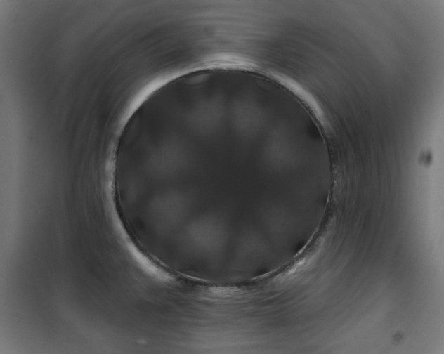 X0000100751383200807031326