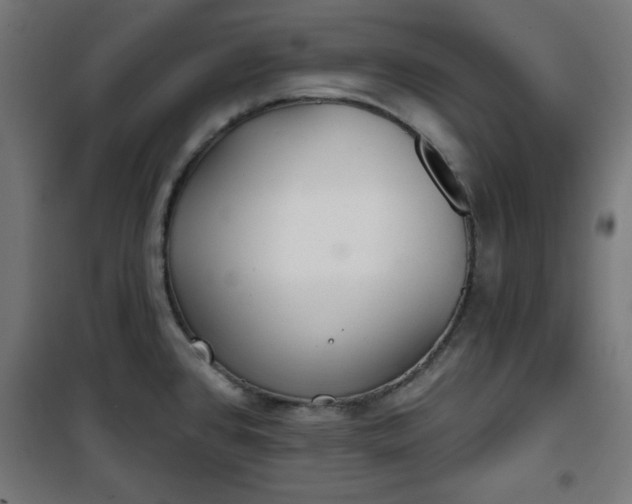 X0000100751384200807031326