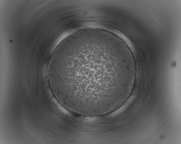 X0000100751385200807031326