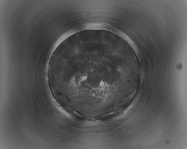 X0000100751386200807031326