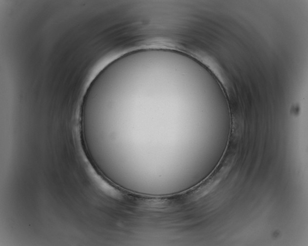 X0000100751387200807031326