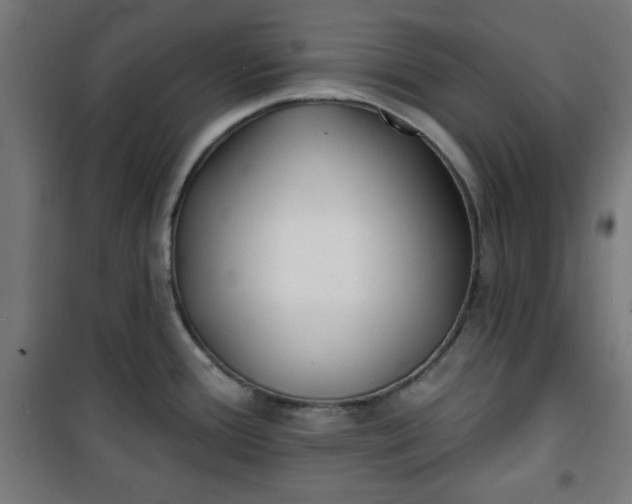 X0000100751388200807031326