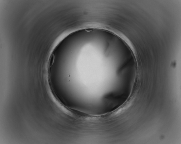 X0000100751389200807031326