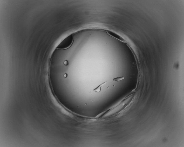 X0000100751390200807031326