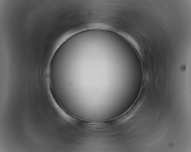 X0000100751391200807031326