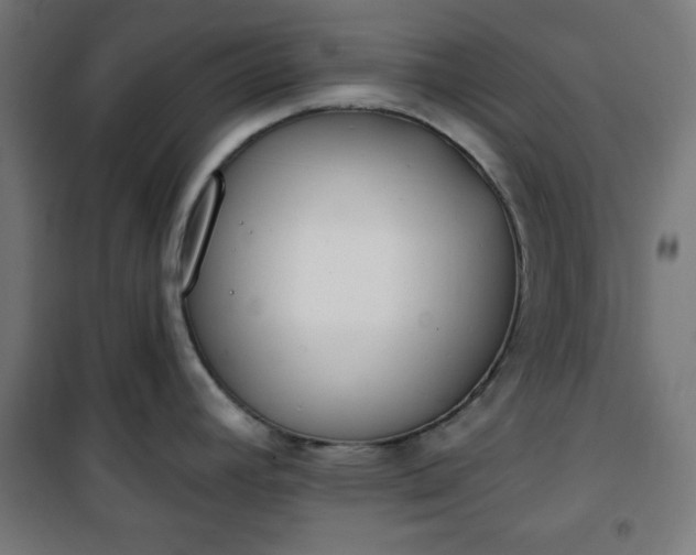 X0000100751392200807031326