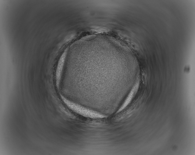 X0000100751393200807031325