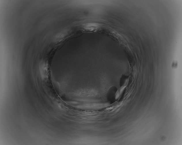 X0000100751394200807031325