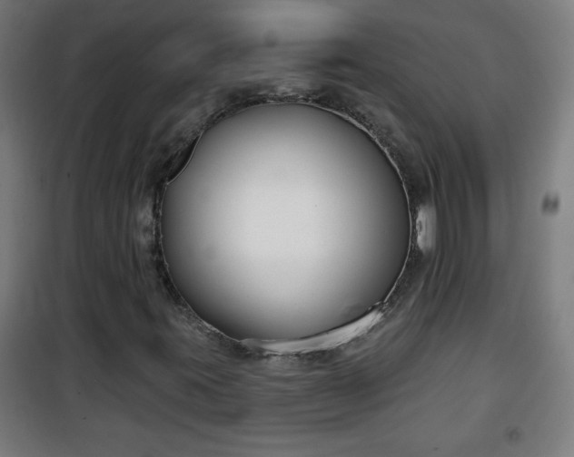 X0000100751395200807031325