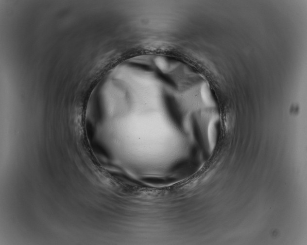 X0000100751396200807031325