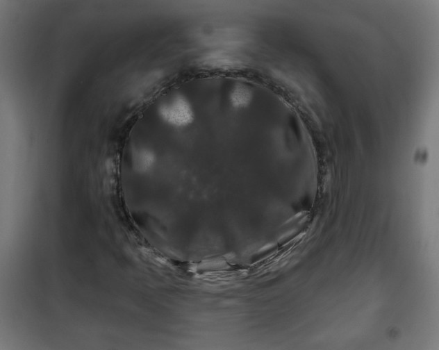 X0000100751397200807031325