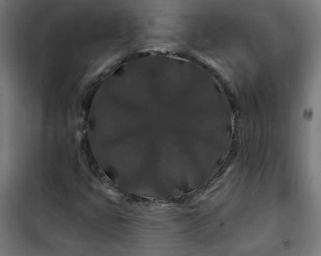 X0000100751399200807031325