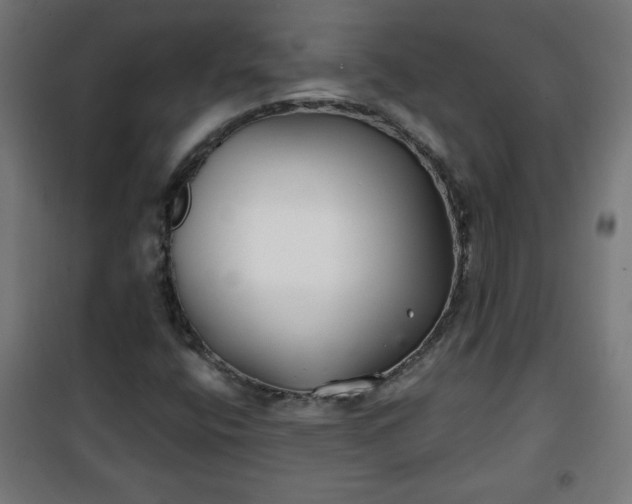 X0000100751400200807031325