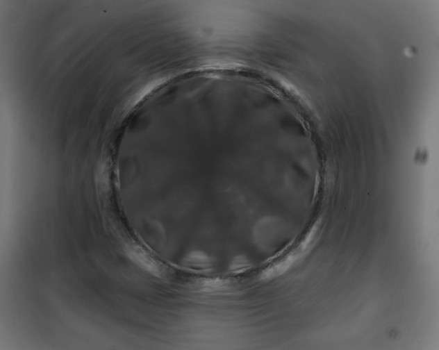 X0000100751401200807031325