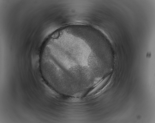 X0000100751402200807031325