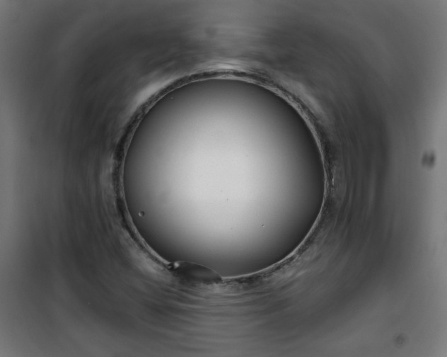 X0000100751404200807031325