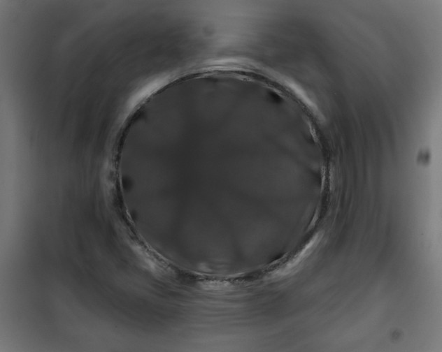 X0000100751405200807031325