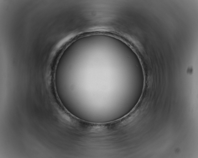 X0000100751406200807031325