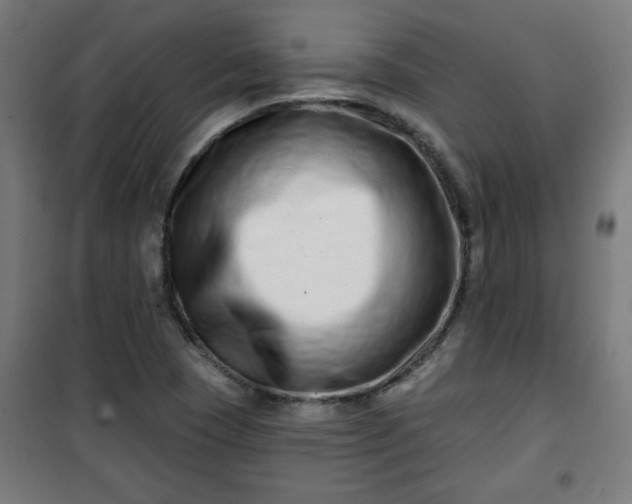 X0000100751409200807031325