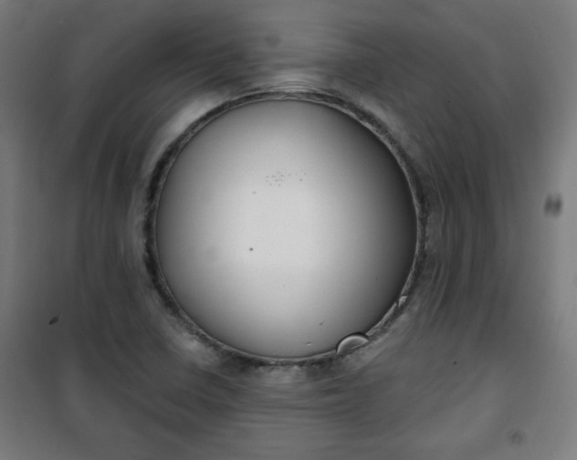 X0000100751410200807031325