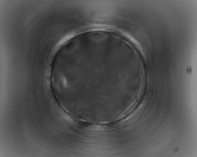 X0000100751411200807031325