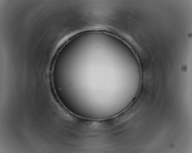 X0000100751412200807031325