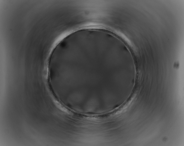 X0000100751413200807031325