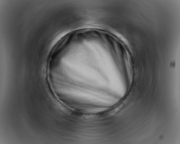 X0000100751415200807031325