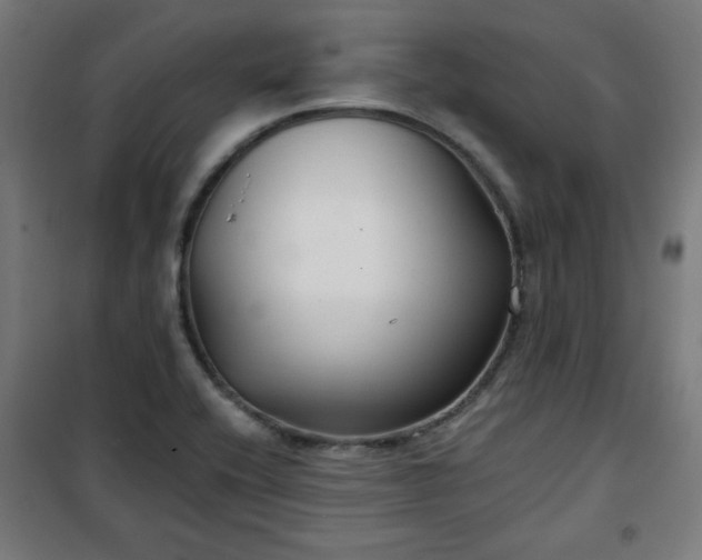 X0000100751416200807031325