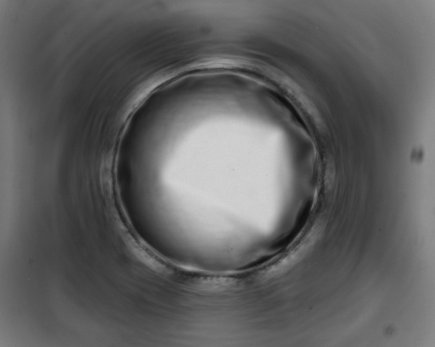 X0000100751417200807031325