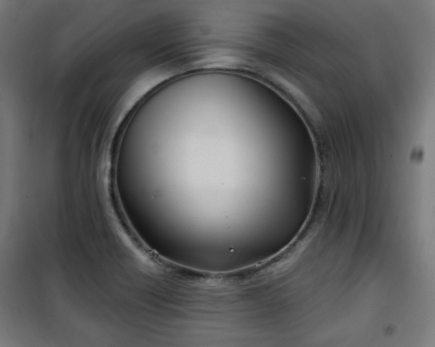 X0000100751418200807031325