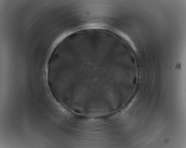 X0000100751419200807031325