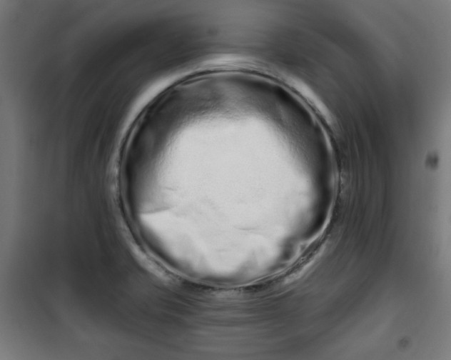 X0000100751421200807031325